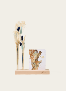 Brievenbuspakket Droogbloemen Baby Boy Blauw