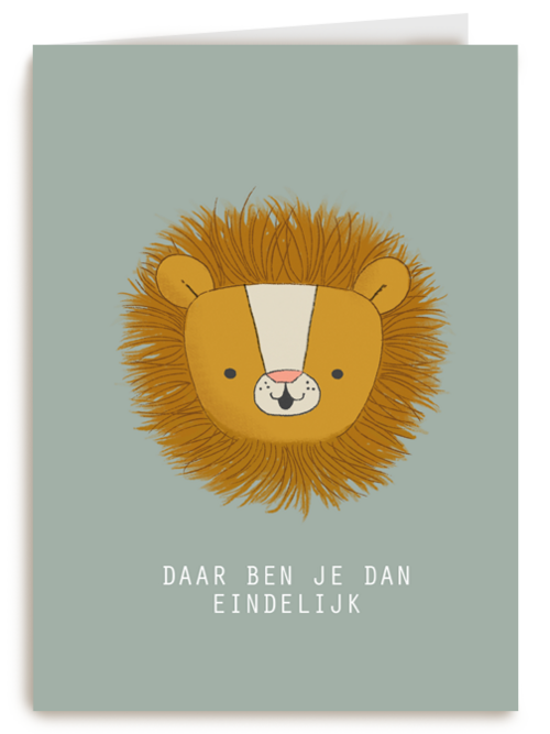 geboorte jongen daar ben je dan eindelijk