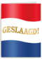 geslaagd kaart nederlandse vlag