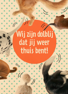 dolblij dat jij weer thuis bent