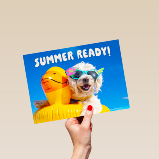 Summer ready dog