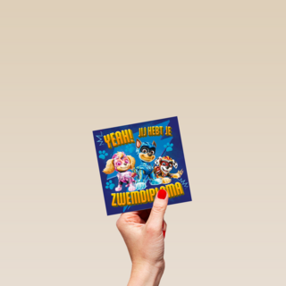 paw patrol zwemdiploma kaart