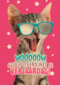gefeliciteerd van deze coole kat