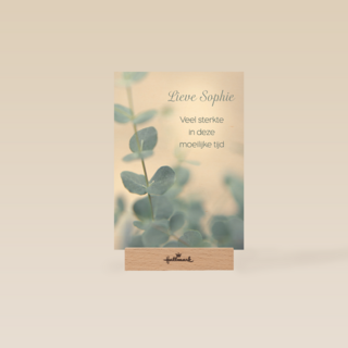 lieve veel sterkte in deze moeilijke tijd