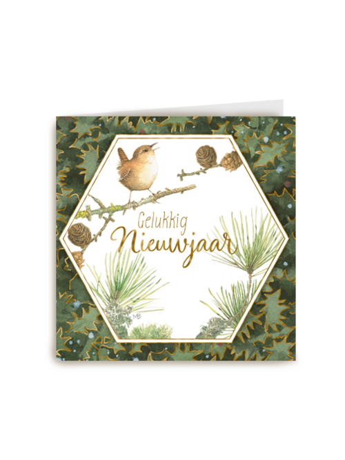 Kerstkaart marjolein bastin vogel