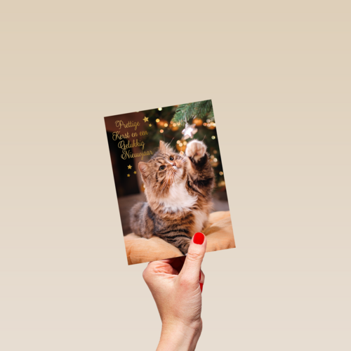 Prettige kerst en gelukkig nieuwjaar kat