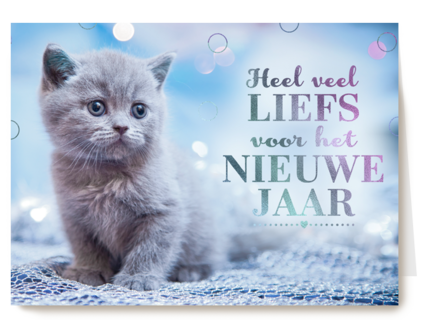 nieuwjaar kaart kat heel veel liefs voor het nieuwe jaar