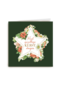 Marjolein Bastin Kerstster