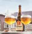 Bierpakket La Trappe Sixpack