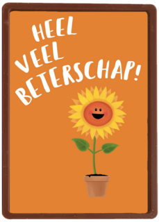 heel veel beterschap zingt de zonnebloem