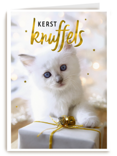 kerstknuffel van een kitten