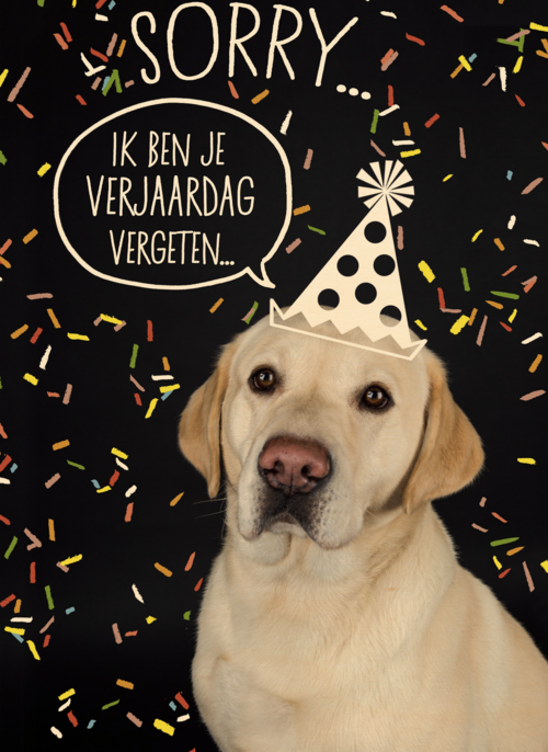 sorry ik ben je verjaardag vergeten