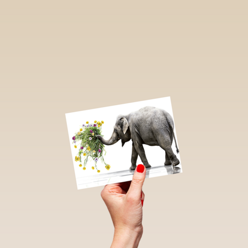 Chromazone Olifant boeket