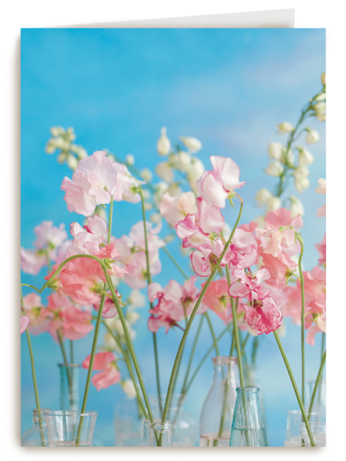 Kaart Hallmark | Beterschapskaarten | Bloemen Lucht