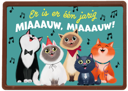 Ylva Svensson Katten verjaardag