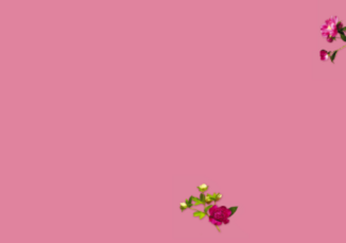 krijtbord omringd met bloemen
