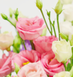 Boeket Bloemen Koninklijke Pracht