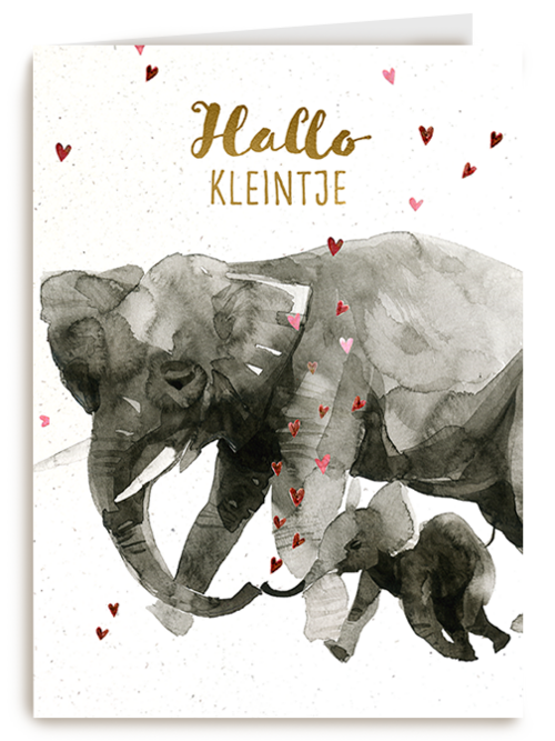 Kaart Hallmark | Geboorte Felicitatie | Geboortefelicitatie Olifant Hallo Kleintje