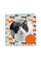 fotokaart miiiauw katten