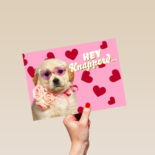 Hey knapperd