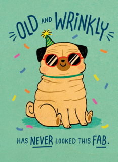 verjaardag kaart grappig old and wrinkly has never looked this fab