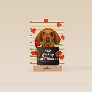 valentijn kaart hond jij bent mijn hartendief