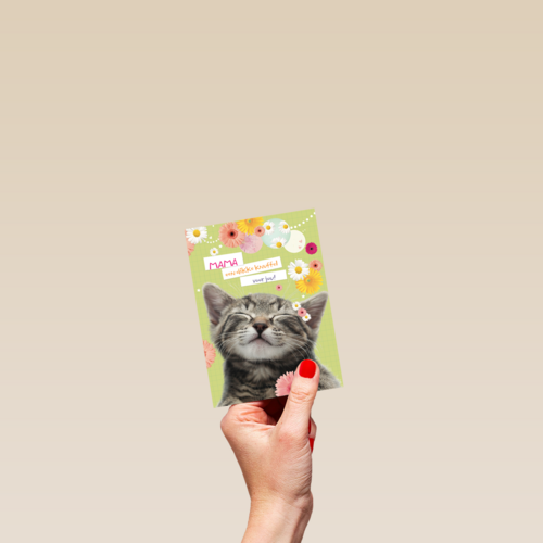 moederdag klassiek een katje voor moederdag