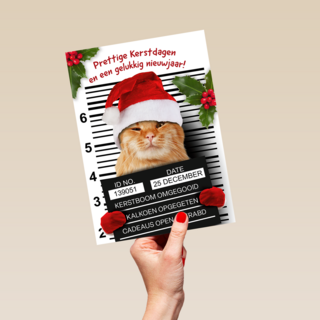 Prettige Kerstdagen Kat Met Kerstmuts
