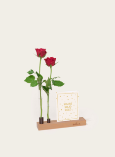 Brievenbuspakket Kaarthouder Flowershot Rose Solitaire
