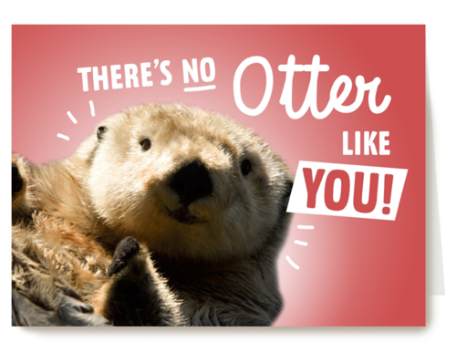 theres no otter like you