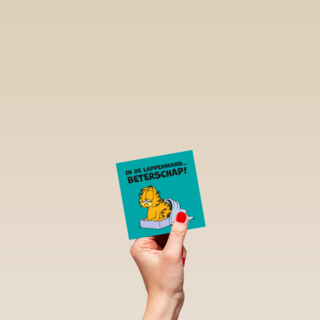 Garfield in de lappenmand