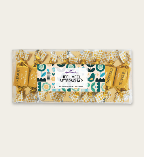 Melkchocolade Hazelnoot Bonbons Heel Veel Beterschap