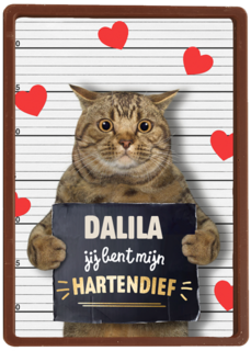 valentijn kaart kat grappig jij bent mijn hartendief