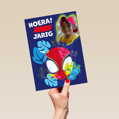 Spidey and friends Verjaardagskaart