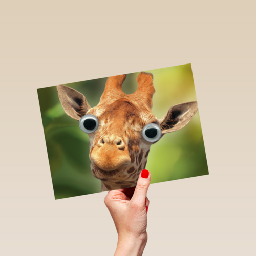 animal fiesta een giraffe met grote ogen