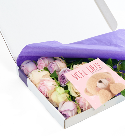 Brievenbusbloemen Rozen Pastel Crush