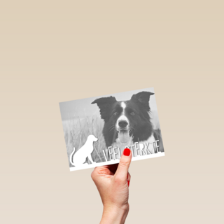 fotokaart veel sterkte verlies huisdier hond