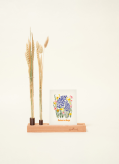 Brievenbuspakket Kaartenhouder Deluxe Droogbloemen Flowershot