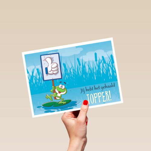 kikker met bord topper