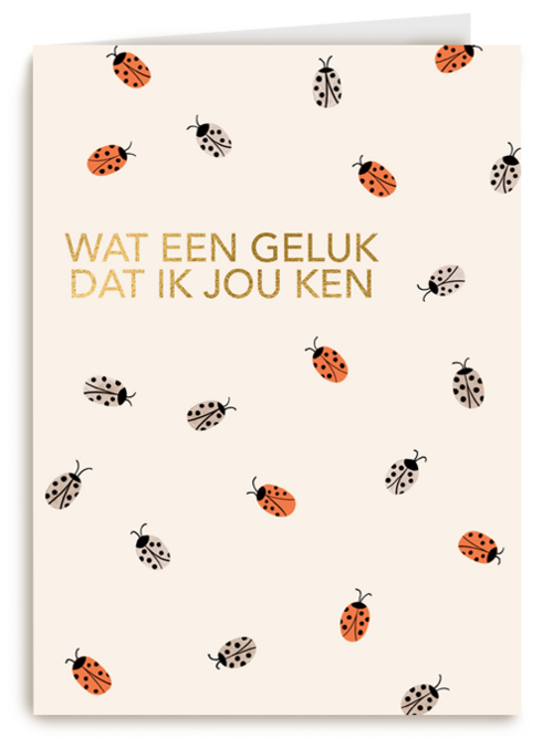 liefde vriendschap kaart wat een geluk dat ik jou ken