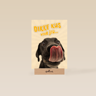 Beterschapskaart Lieve hond Dikke kus voor jou