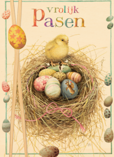 kuiken met nestje eieren