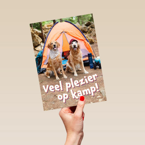 Op kamp kaart 2 honden bij tent