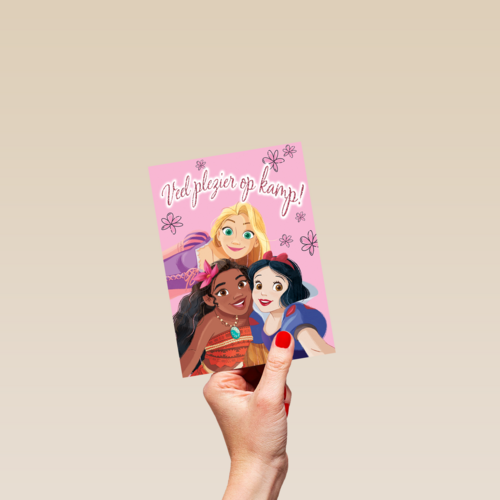 Veel plezier op kamp Disney Princessen