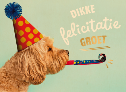 hond met feesthoedje dikke felicitatiegroet kaart