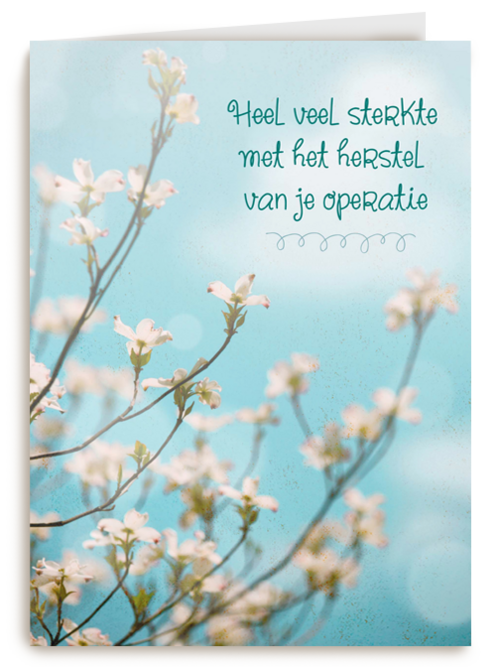 sterkte met het herstel