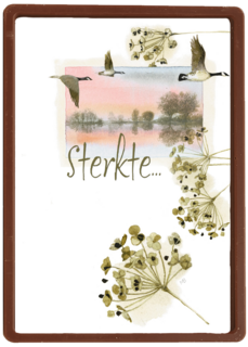 sterkte met dit verlies