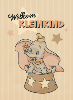 Welkom kleinkind felicitatie met Dombo van Disney