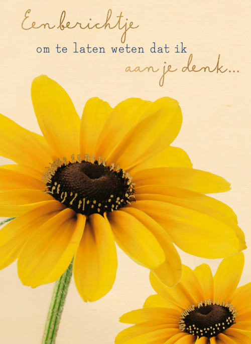 Een berichtje om te laten weten dat ik aan je denk