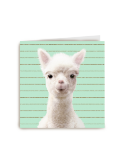 Blanco kaart alpaca